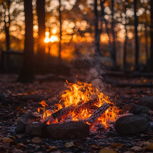 Warm Amber & Embers
