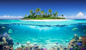 Island Odyssey