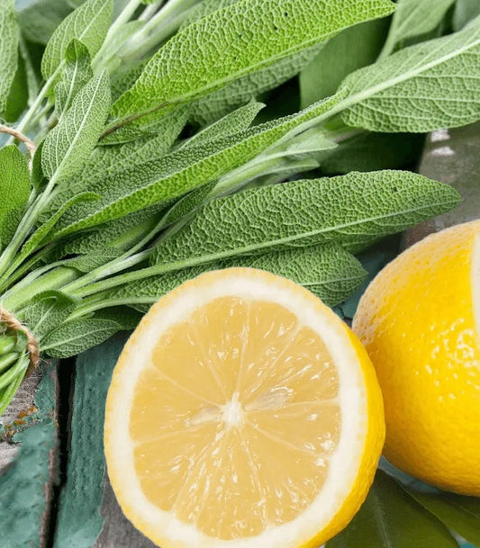 Lemon Sage