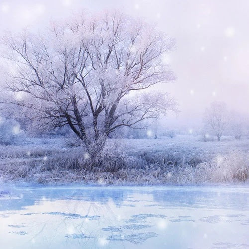 Winter Wonderland