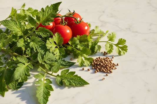 Tomato Leaf and Coriander